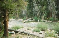 Crossing the river to the hot springs